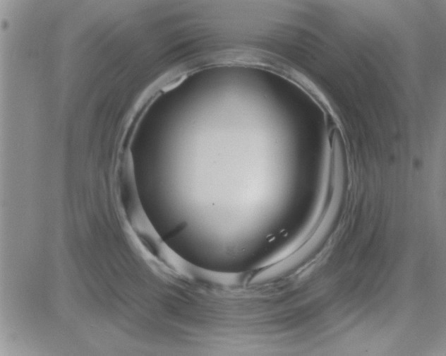 X0000084011434200703022020