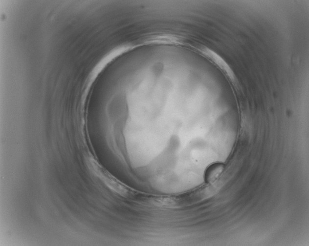 X0000084011435200703022020