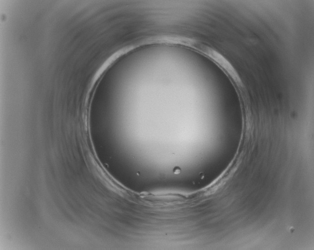 X0000084011436200703022020