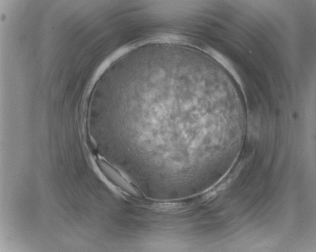 X0000084011437200703022020