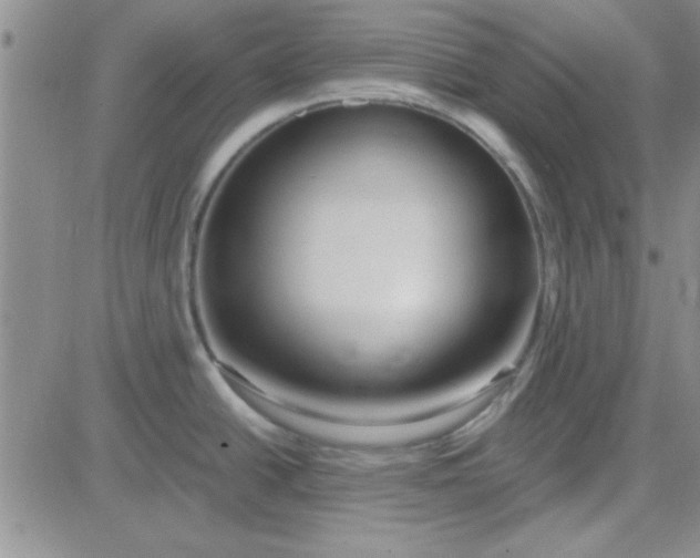 X0000084011438200703022020