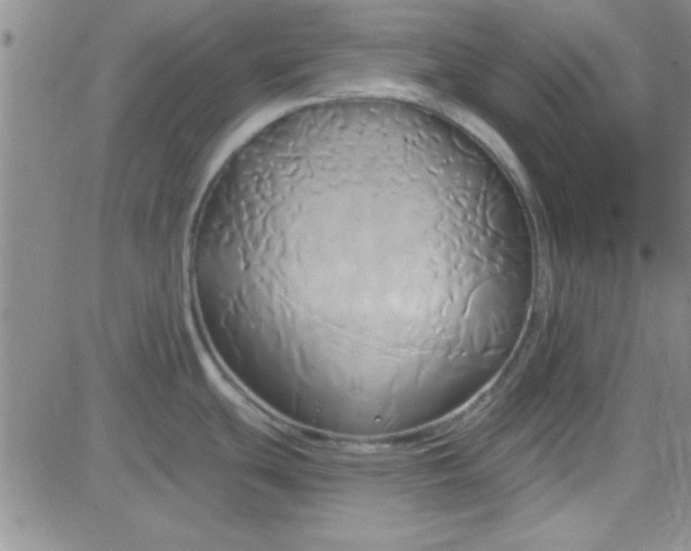 X0000084011439200703022020