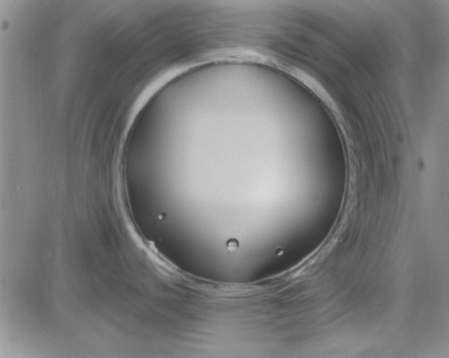 X0000084011440200703022020