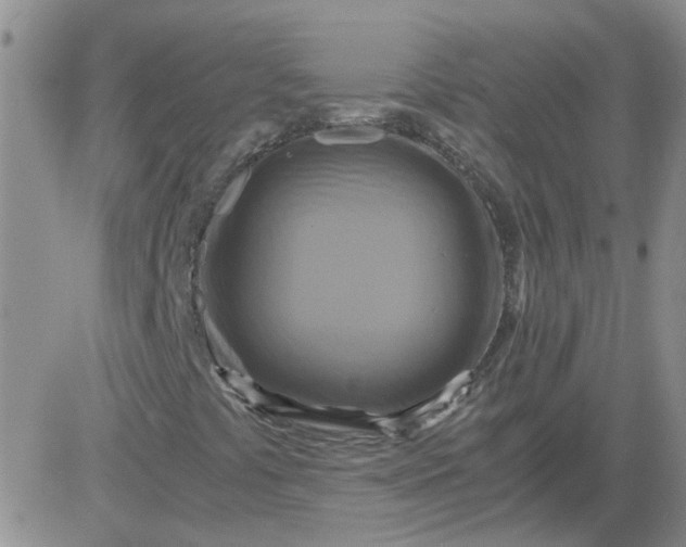 X0000084011441200703022019