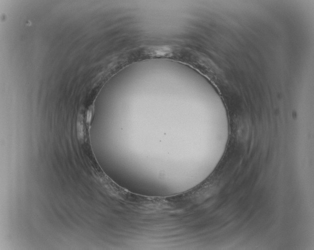 X0000084011442200703022019