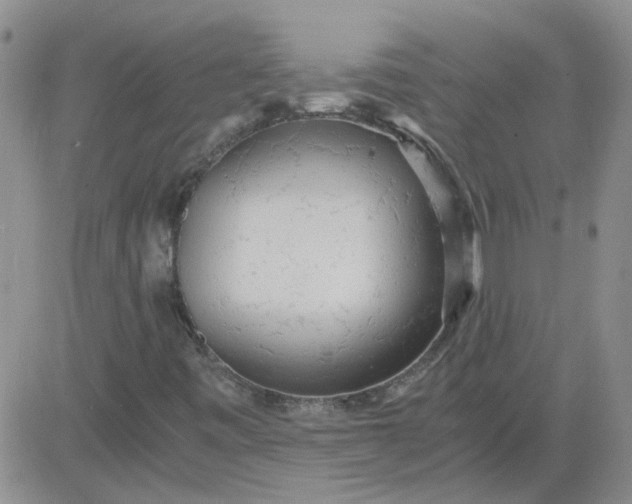 X0000084011443200703022019