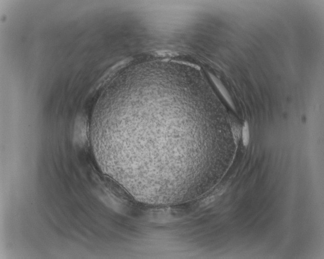 X0000084011444200703022019