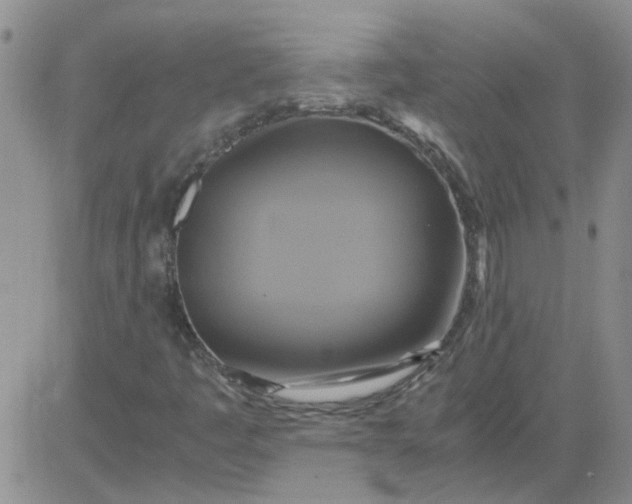 X0000084011445200703022019