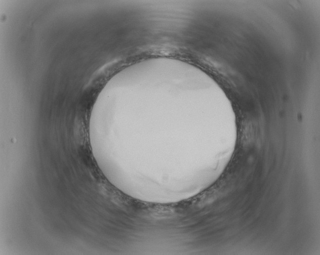 X0000084011446200703022019