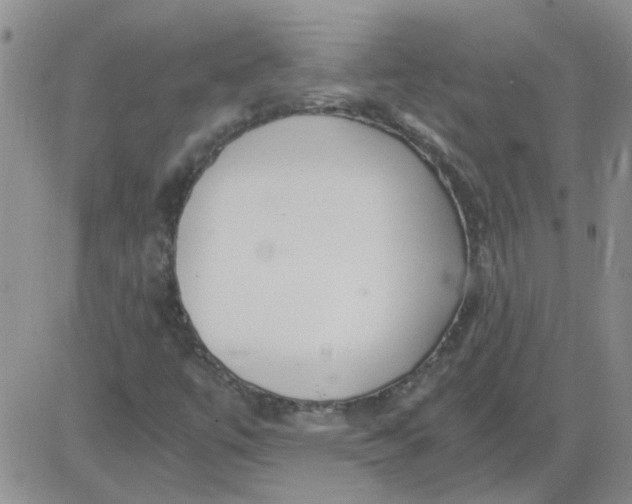 X0000084011447200703022019