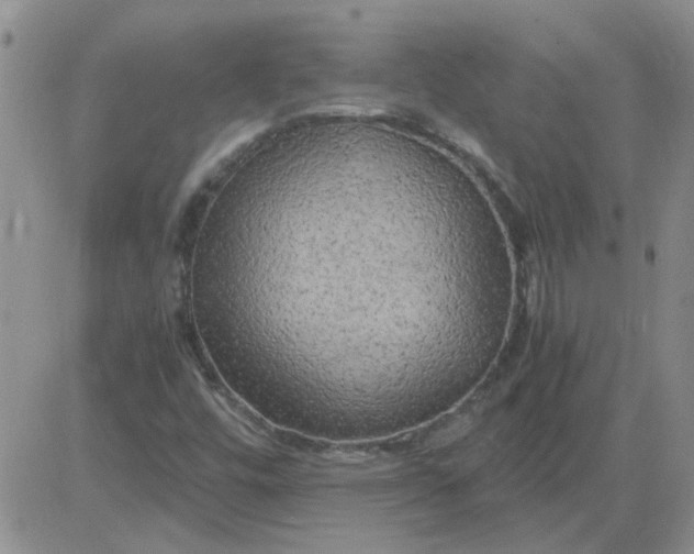 X0000084011448200703022019