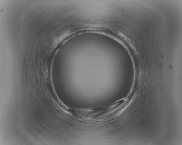 X0000084011449200703022019