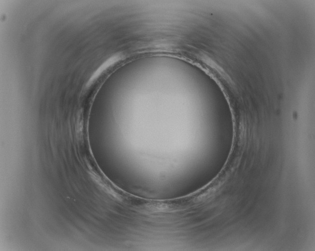 X0000084011450200703022019