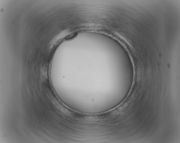 X0000084011451200703022019