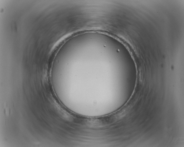 X0000084011452200703022019