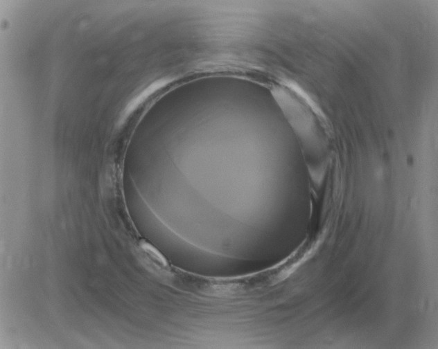 X0000084011453200703022019