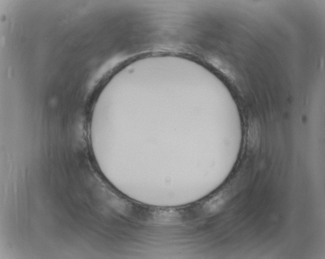 X0000084011454200703022019