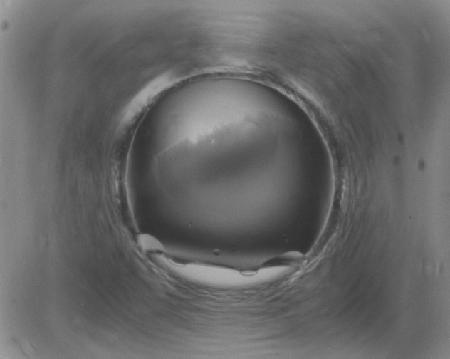 X0000084011455200703022019