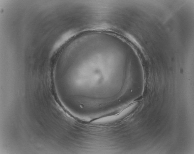 X0000084011456200703022019