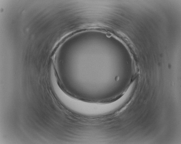 X0000084011457200703022019