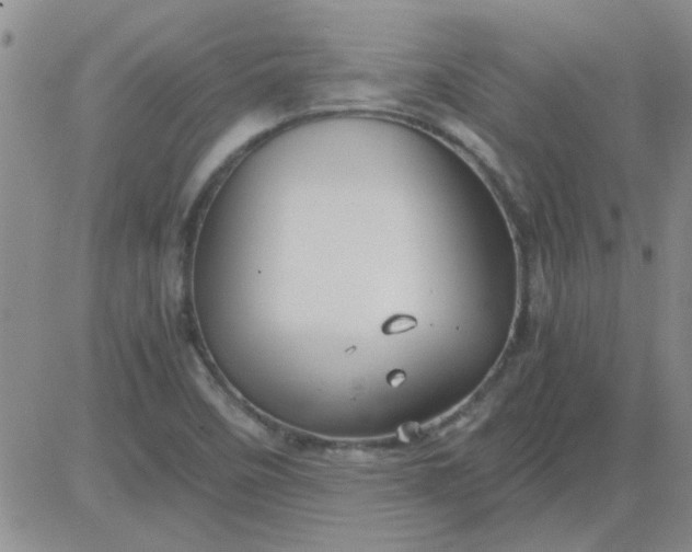 X0000084011458200703022019