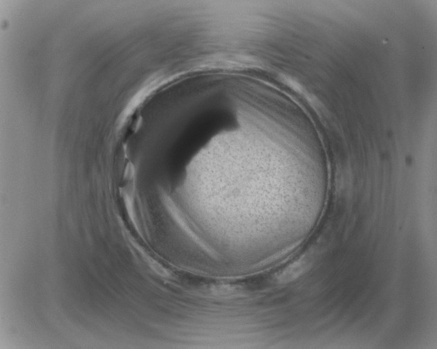 X0000084011459200703022019