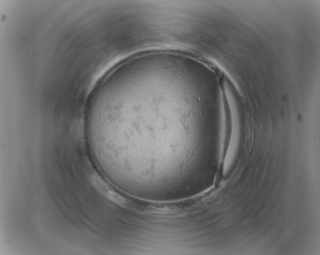 X0000084011460200703022019