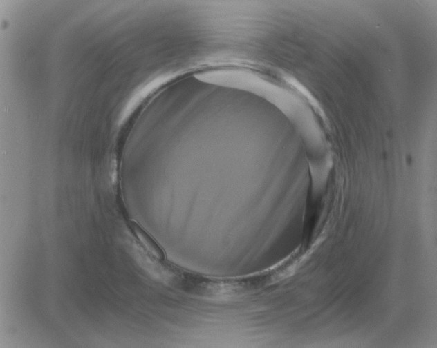 X0000084011461200703022019