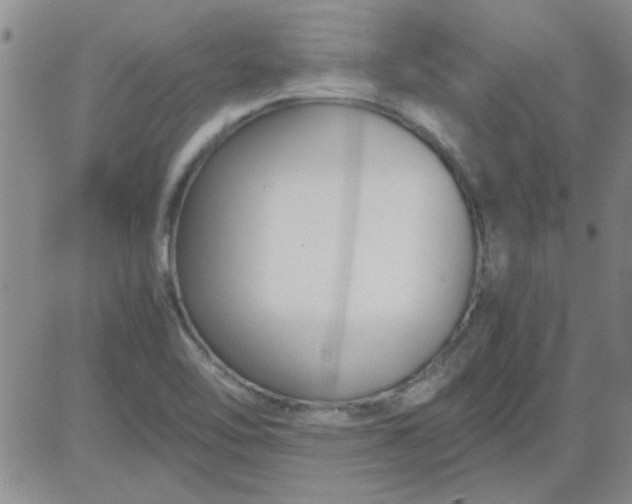 X0000084011462200703022019