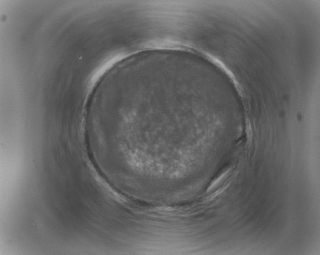 X0000084011463200703022019