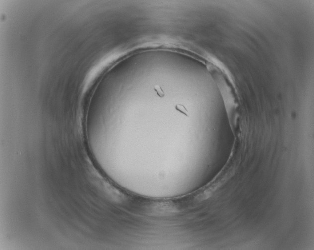 X0000084011464200703022018