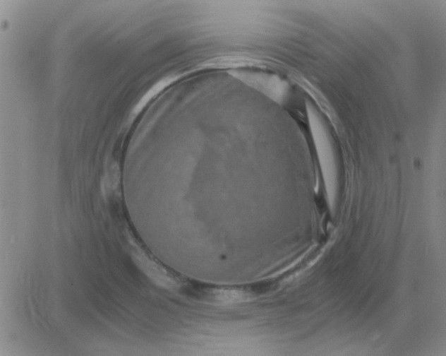 X0000084011465200703022018