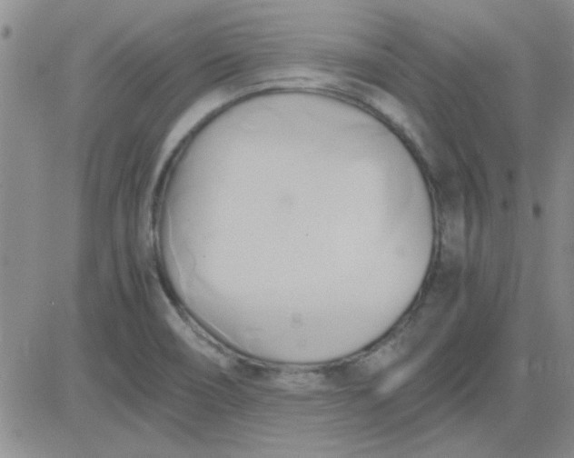 X0000084011466200703022018