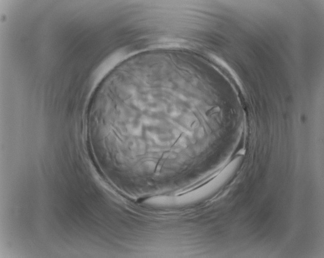 X0000084011467200703022018