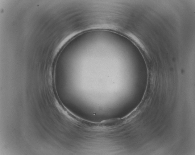 X0000084011468200703022018