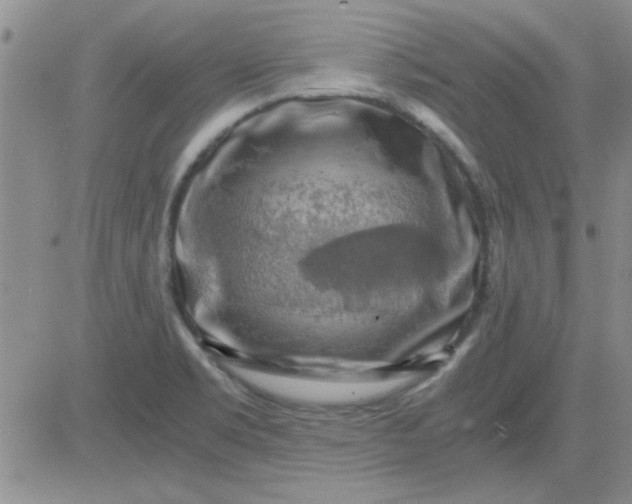 X0000084011469200703022018