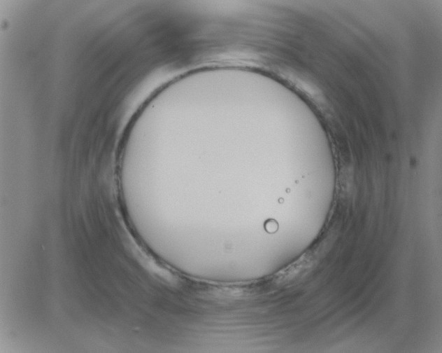 X0000084011470200703022018