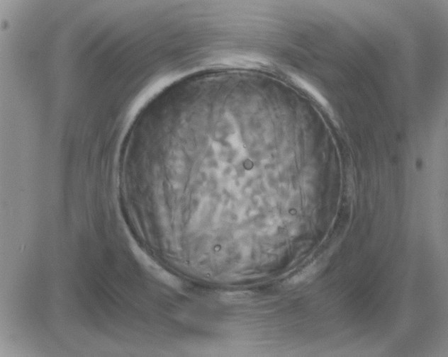 X0000084011471200703022018