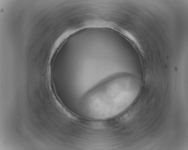 X0000084011472200703022018