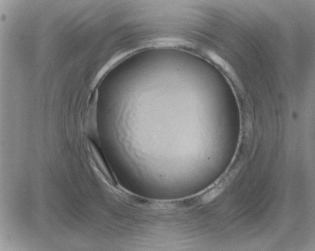 X0000084011473200703022018