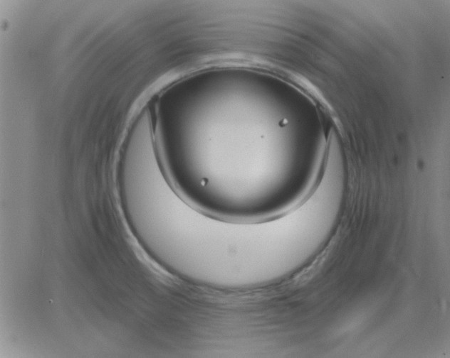 X0000084011474200703022018