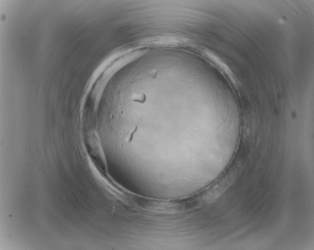 X0000084011475200703022018