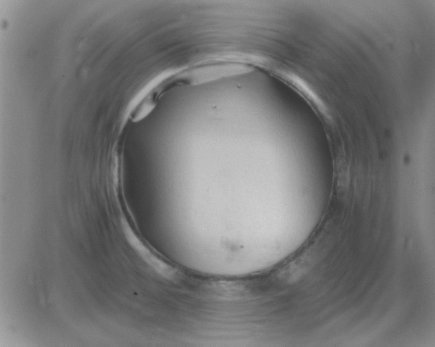 X0000084011476200703022018