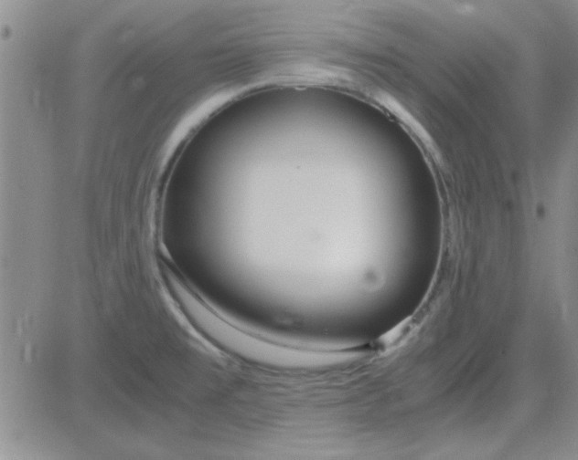 X0000084011477200703022018