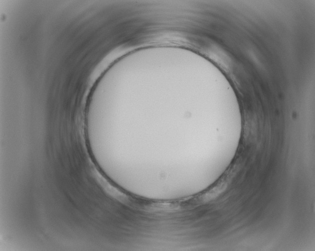 X0000084011478200703022018