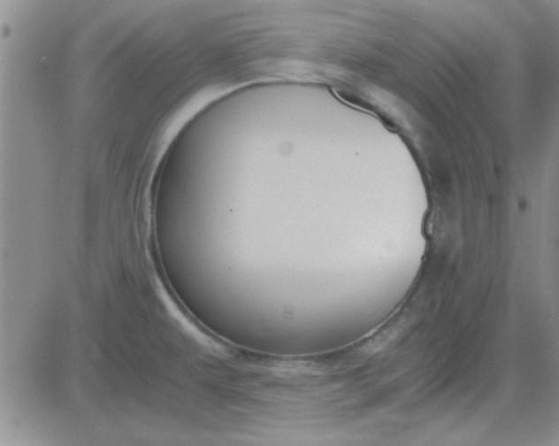 X0000084011479200703022018