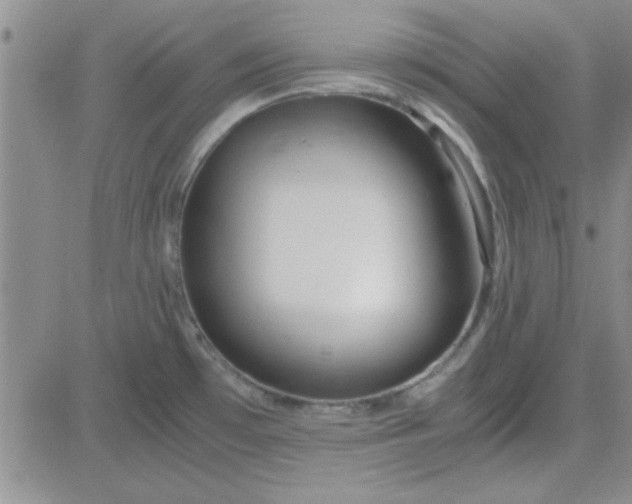 X0000084011481200703022018