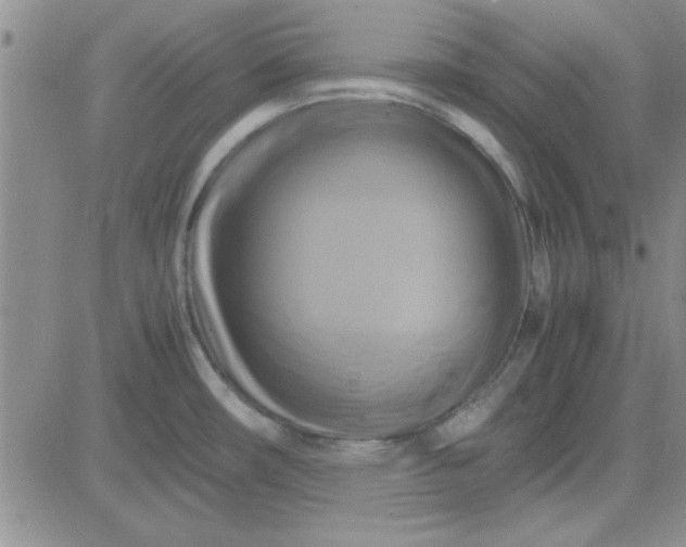 X0000084011482200703022018