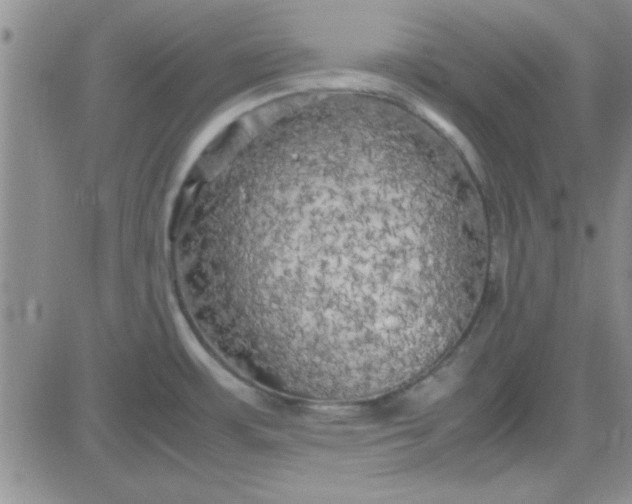 X0000084011483200703022018