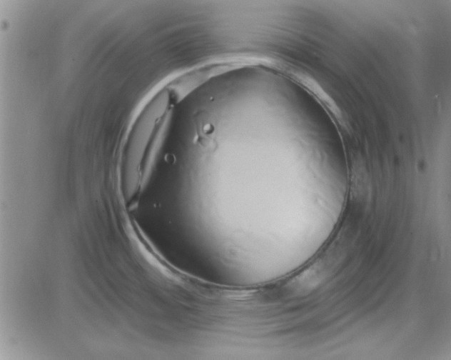 X0000084011484200703022018